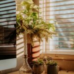 resized_147052